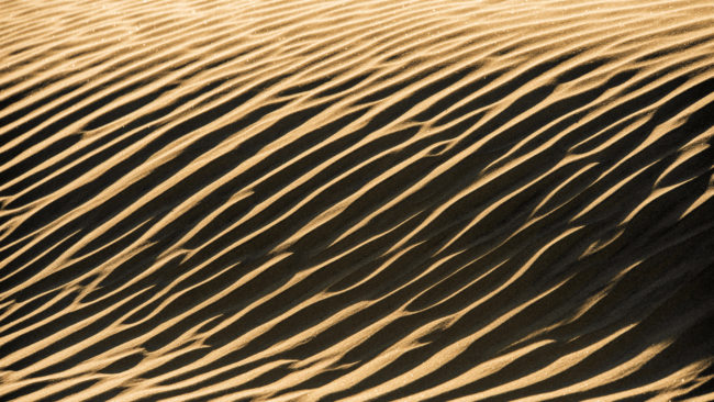 Being a PI is complex